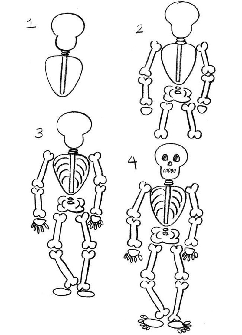 calaveras dibujos fÃ¡ciles hacer crÃ¡neos paso a paso esqueleto humano completo a lÃ¡piz