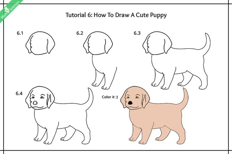 dibujo fÃ¡cil de animal mascota a lÃ¡piz paso a paso cachorro perro perrito