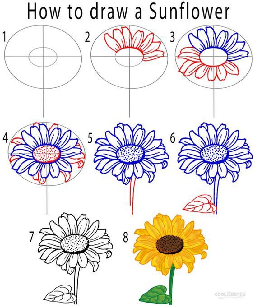flor girasol dibujos fÃ¡ciles de girasoles paso a paso para colorear mirasoles