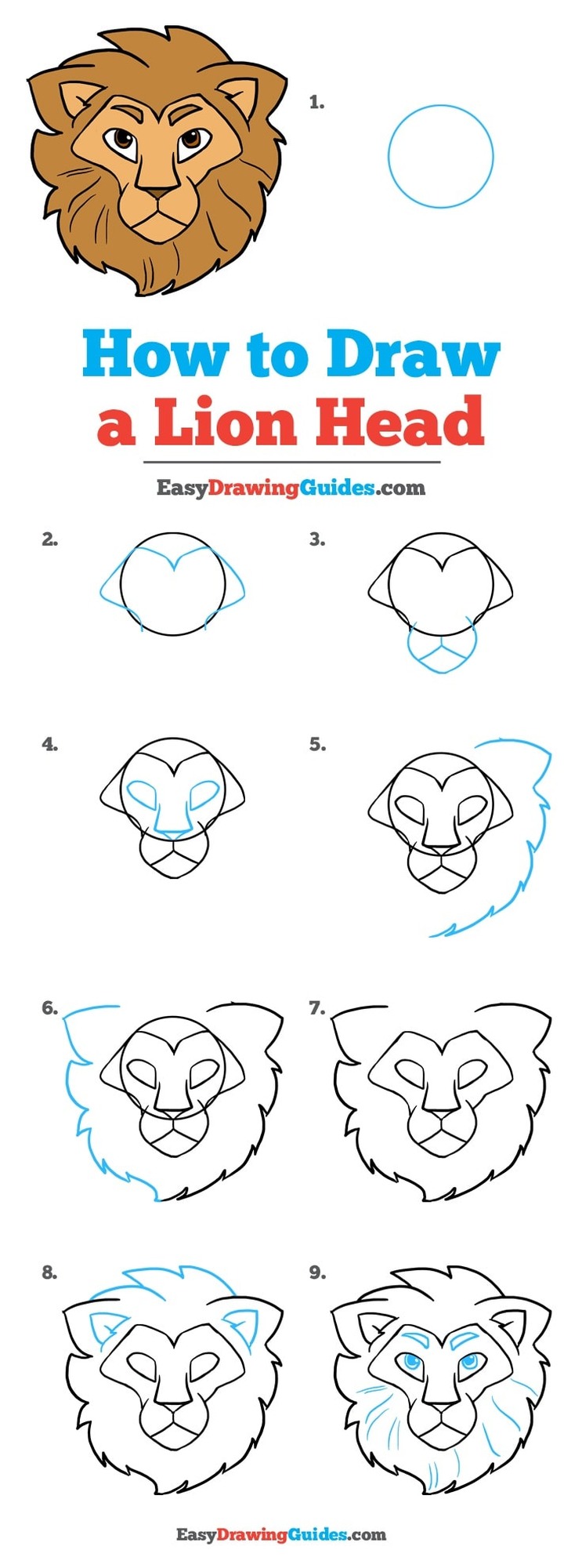 leon leones dibujos faciles 15