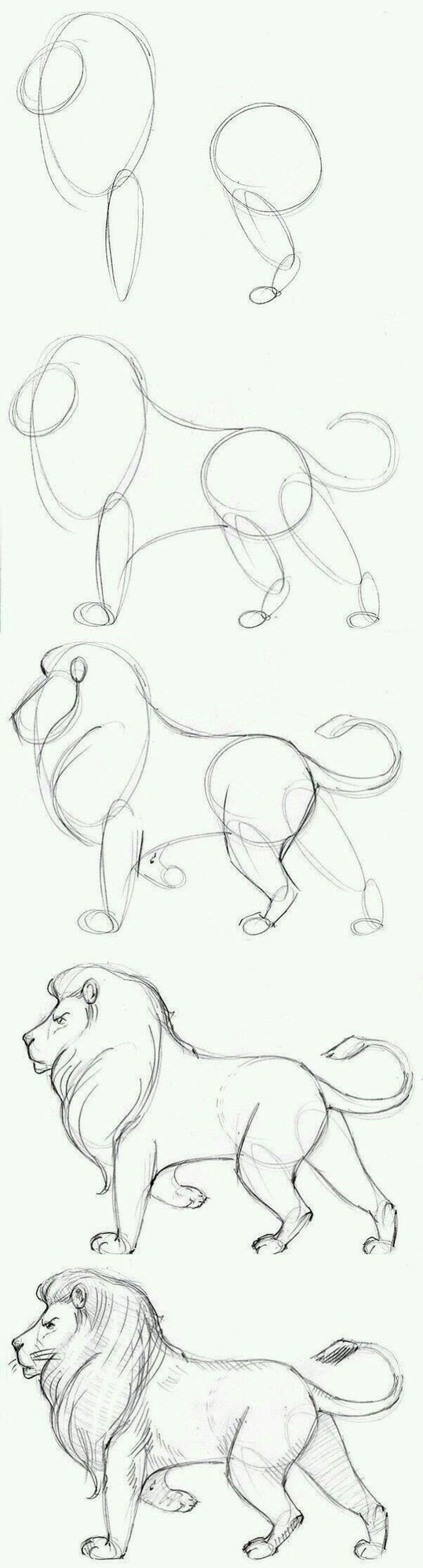 Dibujo De Le n A L piz F cil Dibujo De Le n A L piz F cil
