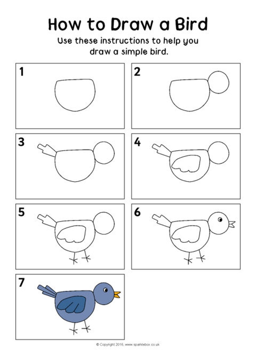 pajarito dibujos fÃ¡ciles de pÃ¡jaro aves instrucciones paso a paso a lÃ¡piz colorear