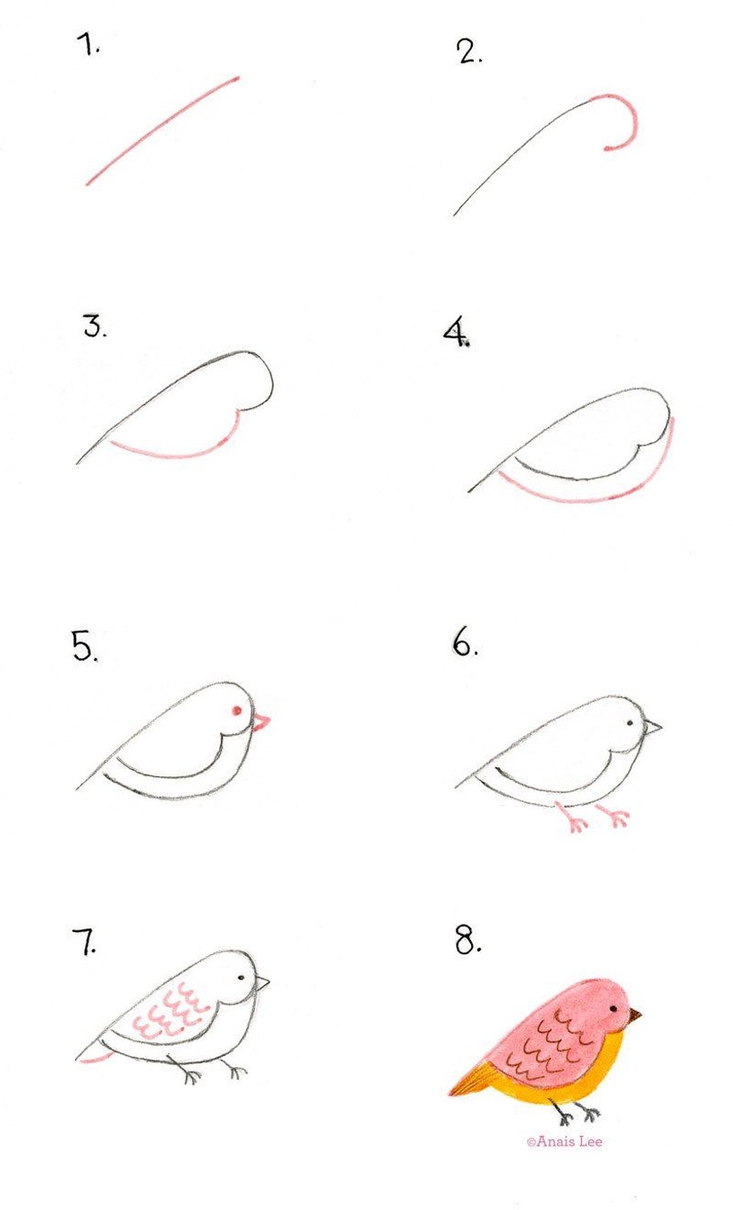 pajarito gordito dibujos fÃ¡ciles de pÃ¡jaro aves paso a paso a lÃ¡piz colorear y pintar
