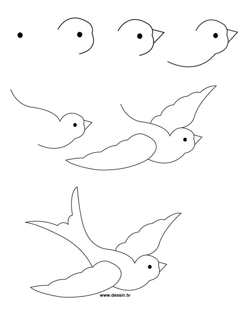 Pájaros Dibujos Fáciles para hacer ???? Paso a paso